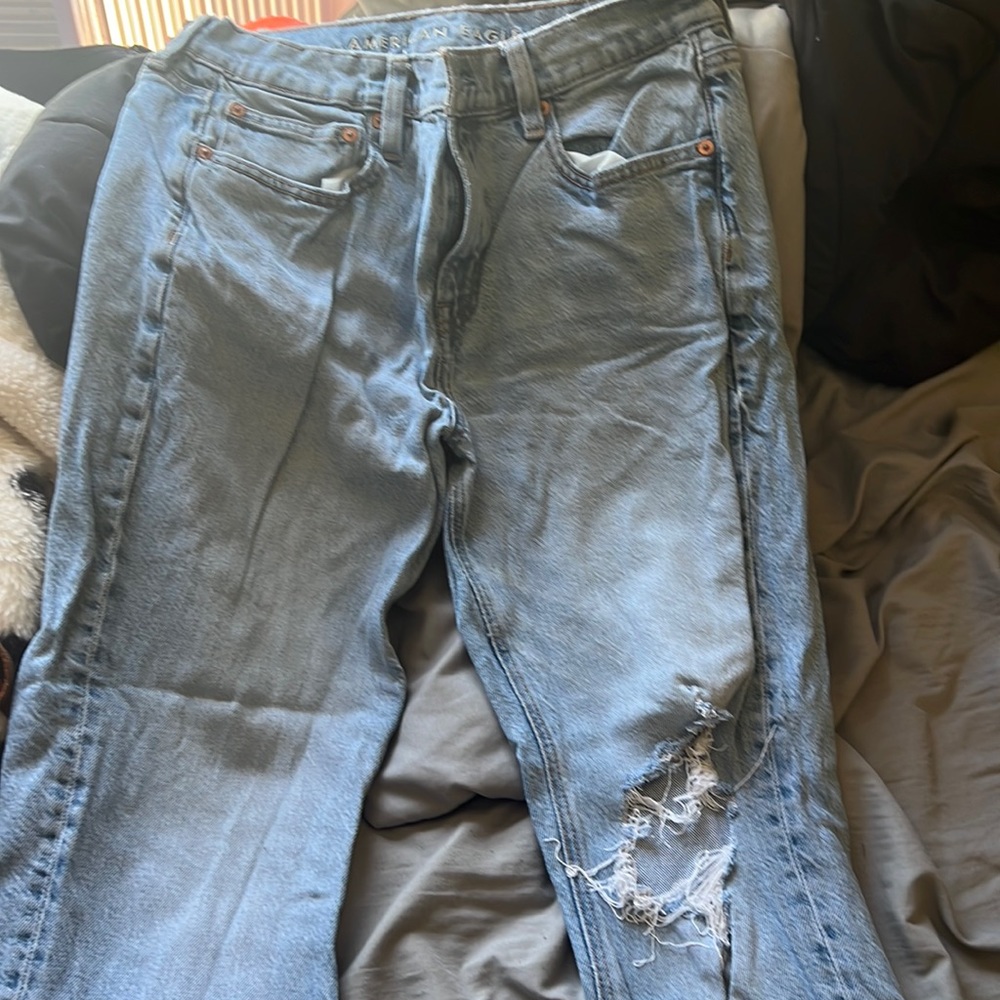 American Eagle Size 10 Short Mom Jeans